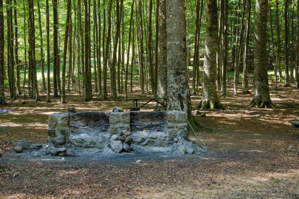 Casa Del Castorino Apartman Abbadia San Salvatore Kültér fotó
